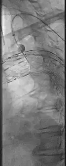 640.webp (16).jpg