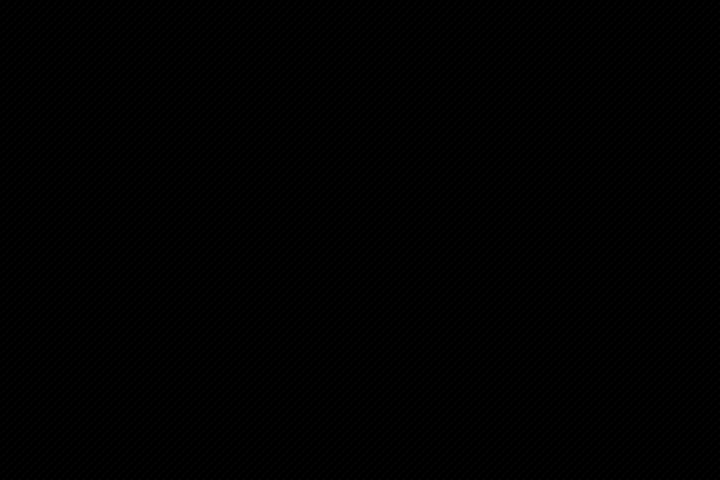 3_20211201164035
