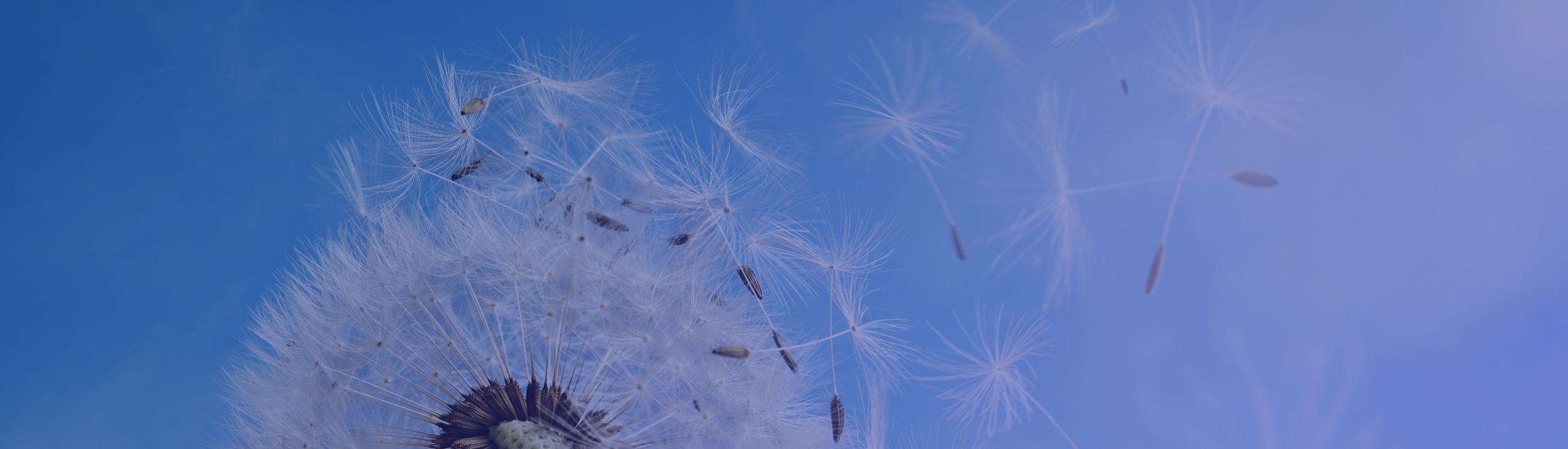 优游国际|UB8优游国际|共创美好将来
