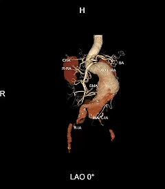 5c549075-50bb-41db-9d60-5662ed0469a1.gif