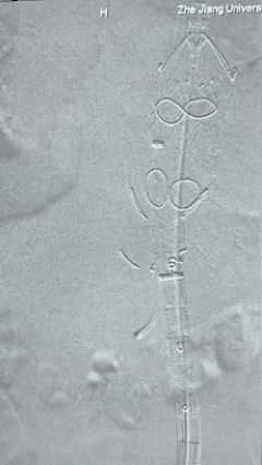 8.gif