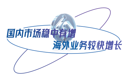 国内市场稳中有增，海表业务较快增长.png